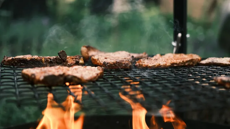 Some meat on a grill in the garden during summer.